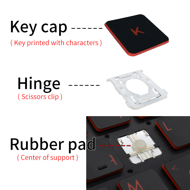 交換用キーキャップ キーキャップヒンジ HP ProBook - Laptop Accessories Uk のレビューと価格